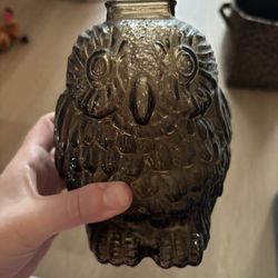 Owl Glass Piggy Bank