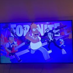 70 Inch LG TV