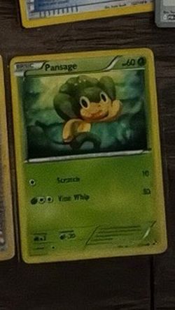 Pansage Pokemon Trading Card
