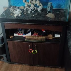 Fish Tank 30 Gallons