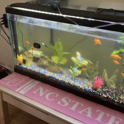 55 Gallon Fish Tank (Can Trade For Xbox Series X)