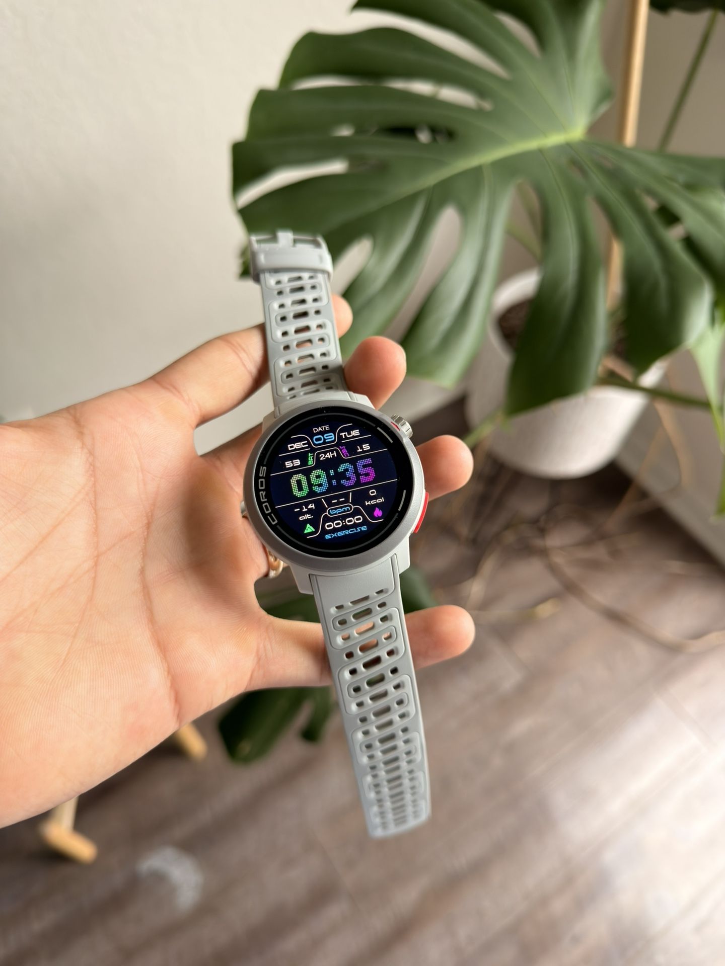 Coros Pace Pro - Grey