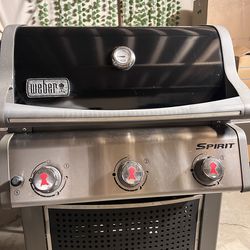 Weber bbq grill