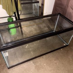 20 Gallon Long Tank 