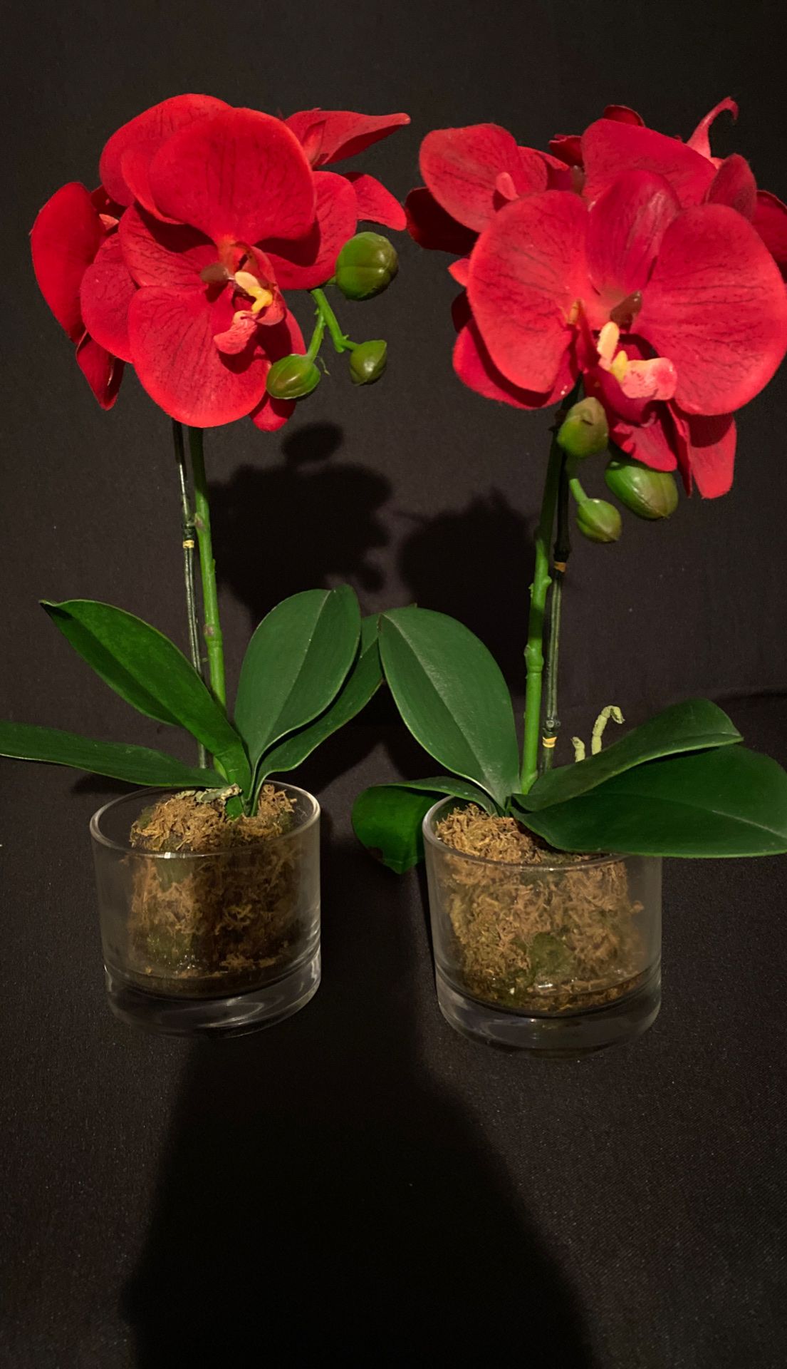 Red Decorative Fake Plants (Pair of 2)