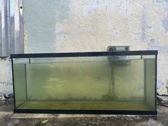 55 Gallon Tank With Aquaclear 70 Gal Filter