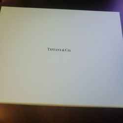 Tiffany And co. Pouch