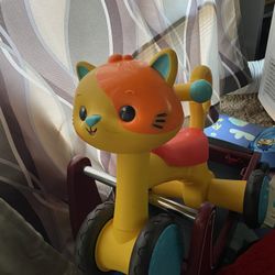 Little Ride Along Cat