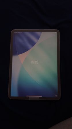 iPad Pro 11inch 4th Gen UNLOCKED