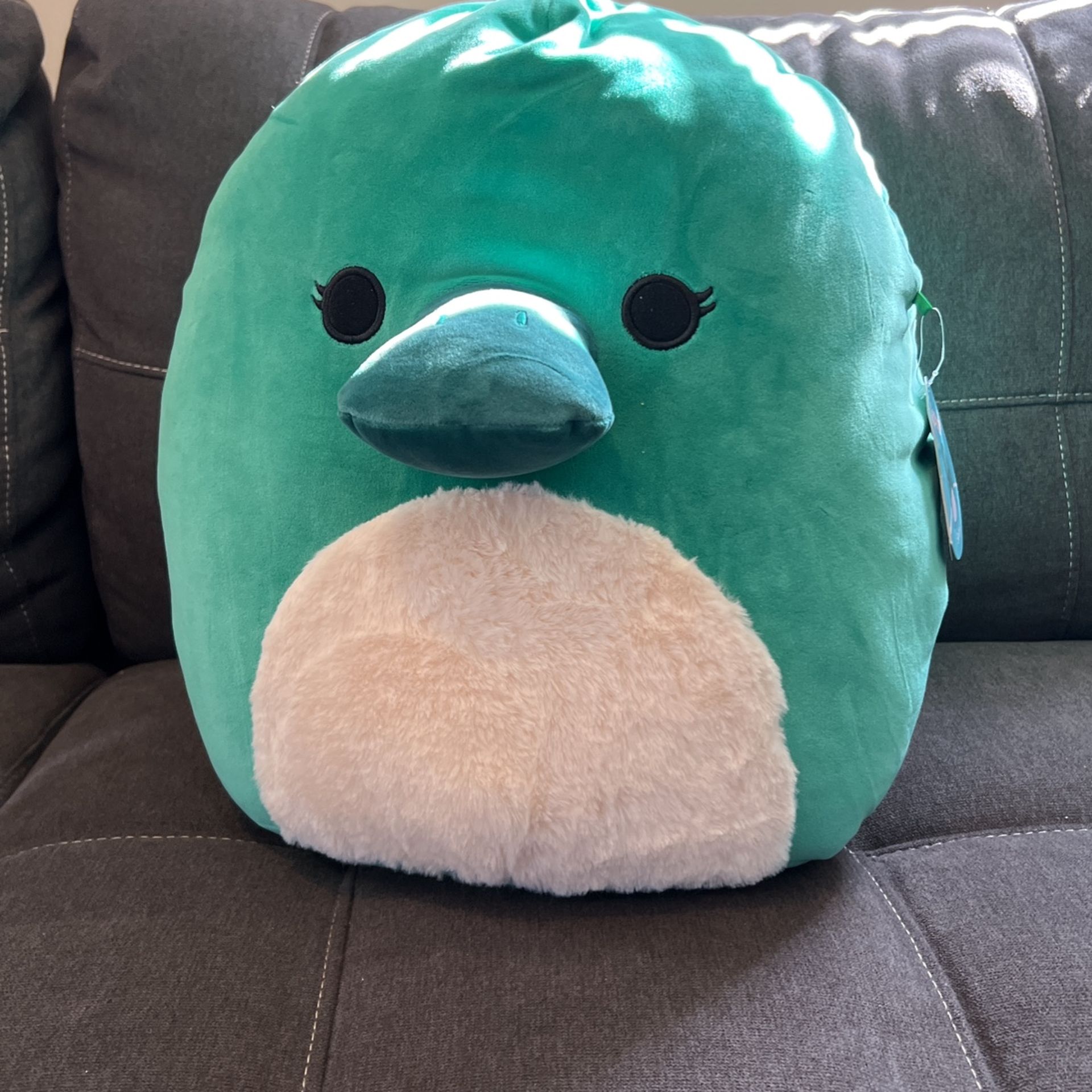 Squishmallow Salads
