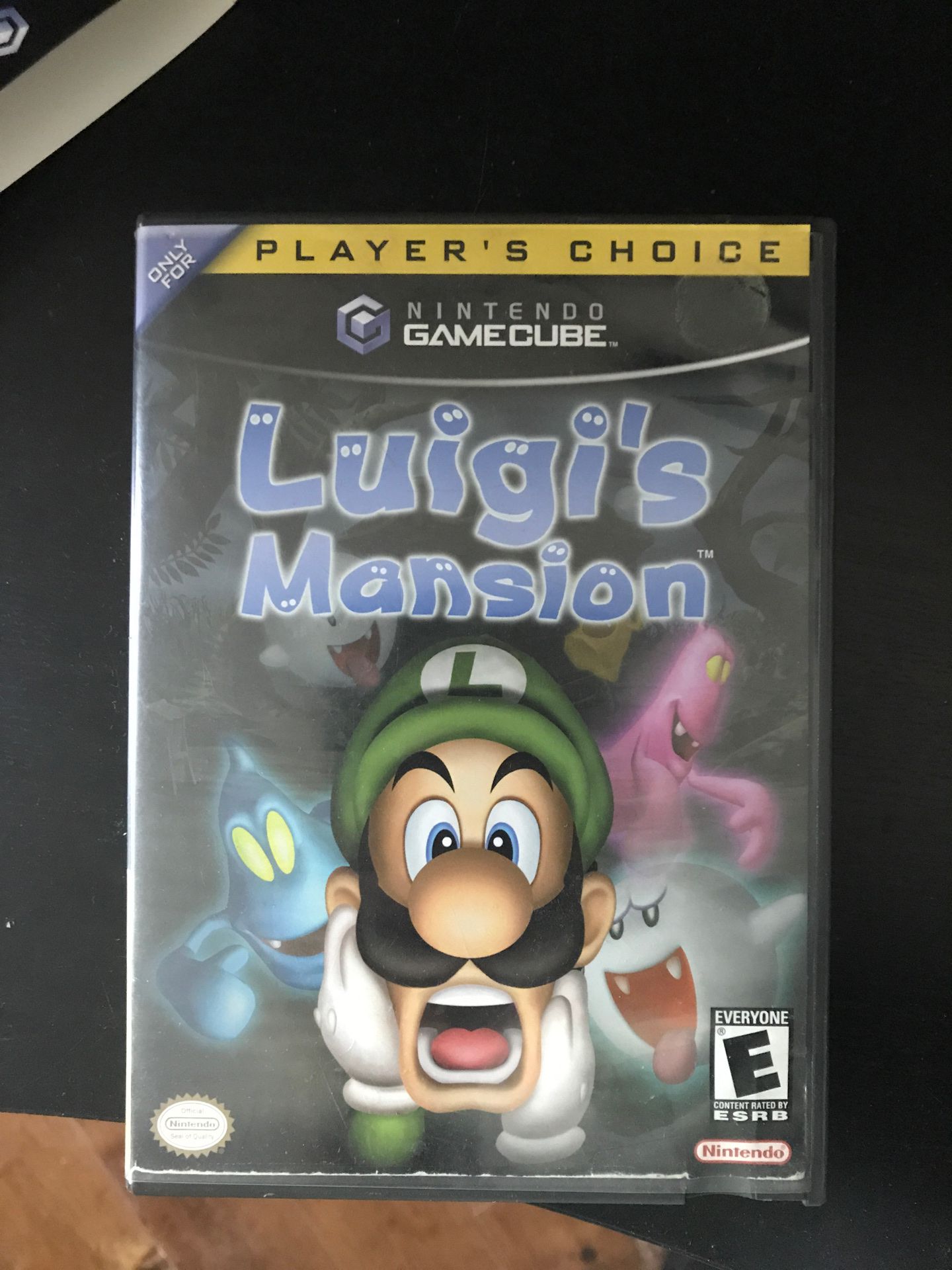 Luigi’s mansion Case only