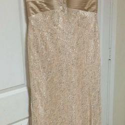 Champagne plus size prom dress 2x