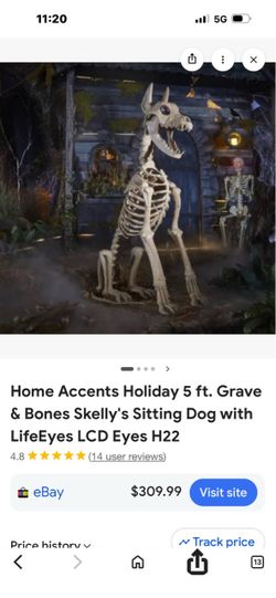 Full skeleton dog