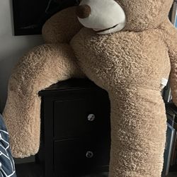 Large Teddy Bear