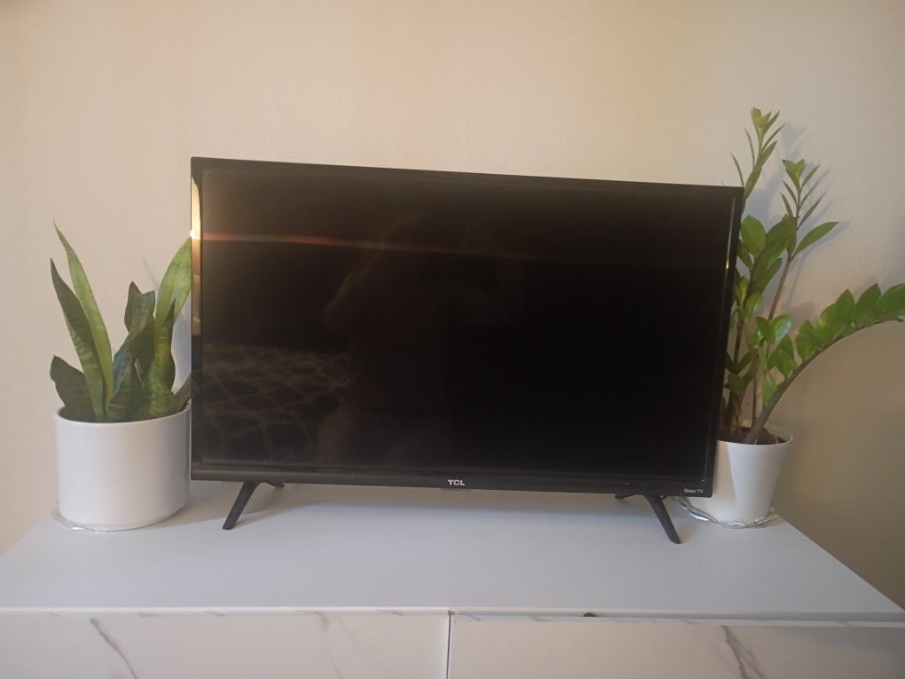 Roku TV 28" Screen With Remote-WEHO -$75OBO