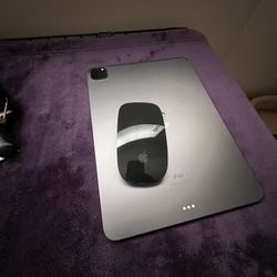 Apple Magic Mouse 