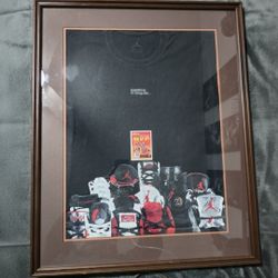 MICHAEL JORDAN FRAMED WALL ARE WITH TRADING CARD