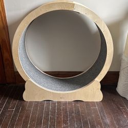 Cat Wheel 