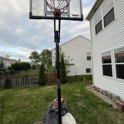 Lifetime shatterproof 50’ Basketball Hoop 