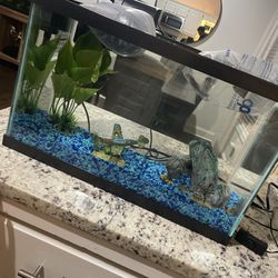 10 Gallon Breeder Fish Tank 