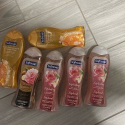 Softsoap Body Wash 6 × $25