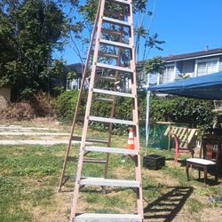 10 Ft Fiberglass Step Ladder 