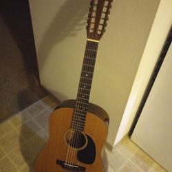 Martin Vintage D 12/20 1973 