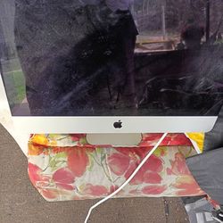 Apple iMac 21.5 Intel Core i5 8gb 500gb Mojave Os Webcam