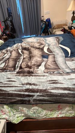 Blanket