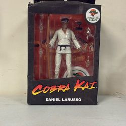 Cobra Kai Daniel Larusso Action Figure. 