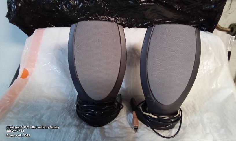 Computer Speakers