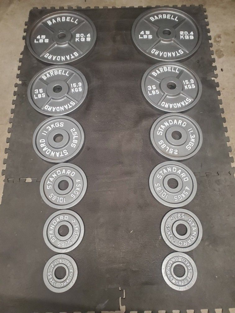 Complete Olympic Weight Set(2x45lbs 2x35lbs 2x25lbs 2x10lbs 2x5lbs 2x2½) Thats 245lbs All Together