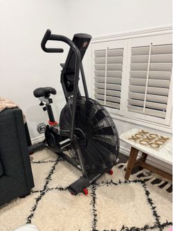 AirDyne AD7 Schwinn exercise bike bicycle