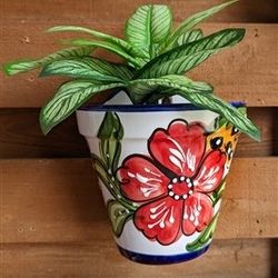 Florida Wall Planter 8.5" "D