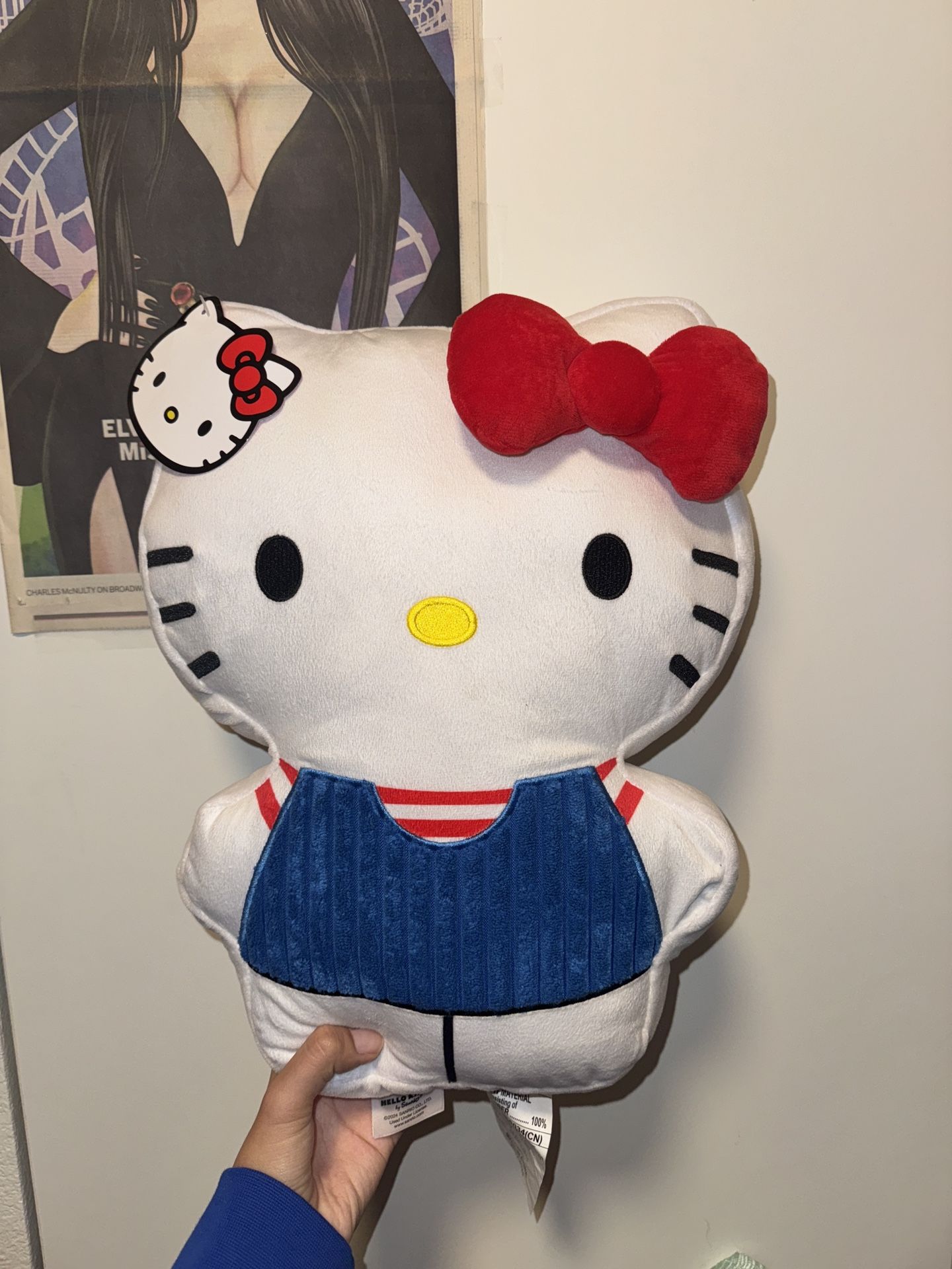 Hello Kitty Pillow 