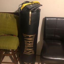 Everlast Punching Bag