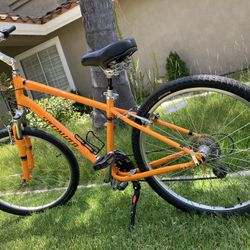 Specialized Expedition Sport Bike
