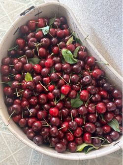 Cherries
