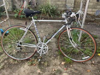 Vintage Azuki Road Bike