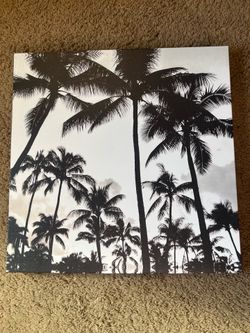 Black and white Palm tree canvas