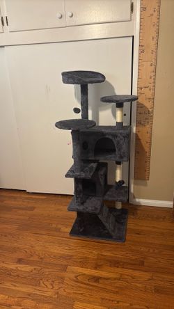 New cat tree-still in box!