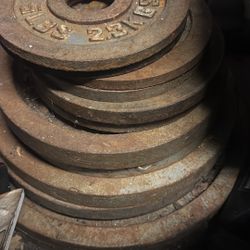 Weights 250lbs