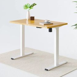 Electric Standing Desk 