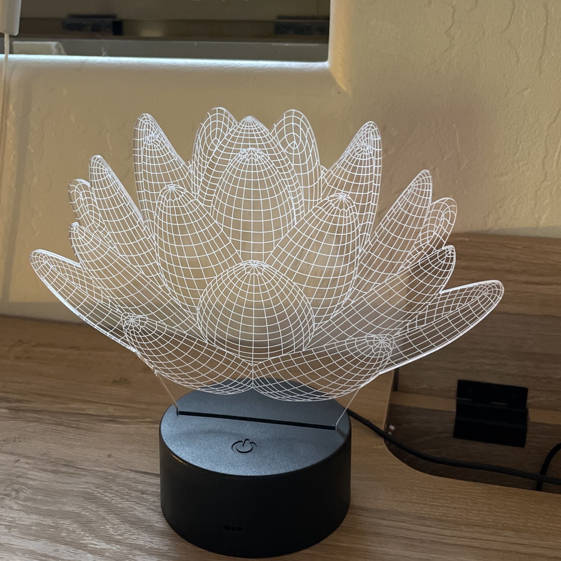Succulent Color Light Decor