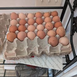 1 dozen eggs