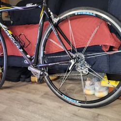 Giant. Tcr. Composite2  FrameL Shimano. Ultegra 