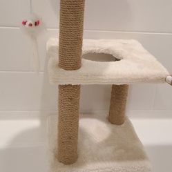 Kitten Tree