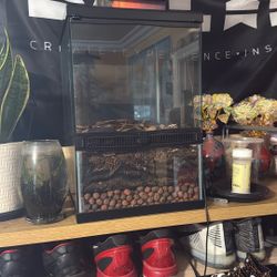 glass tank for pets and plants 