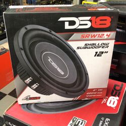 Ds18 12 Inch Slim Subwoofer On Sale Today 