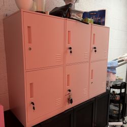 Pink Lockers/storage 